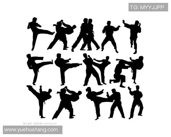 柔道技术与文化的深度探讨：从起源到现代竞技的演变与未来发展