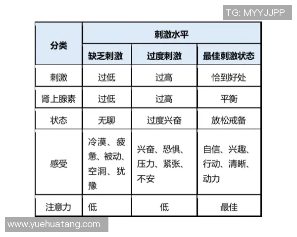 以U球为核心探讨新兴体育运动的兴起与发展趋势