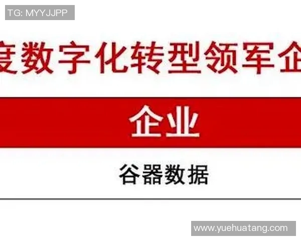 互联网驱动下的数字化转型与未来科技创新趋势探讨