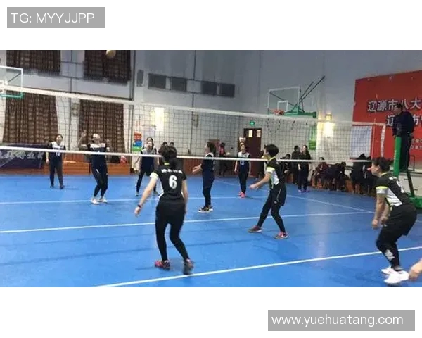 刘军的排球之路:从赛场到人生的精彩对话与回忆 刘军的排球之路:从赛场到人生的精彩对话与回忆